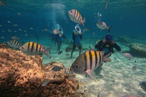 Sea Trek Underwater Walk em Tenerife – Não é necessário nadar