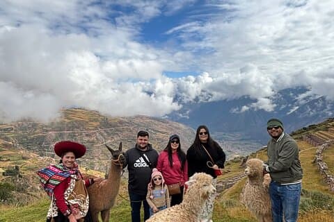 Alpaca Gå over Inkas hellige dal fra Cusco