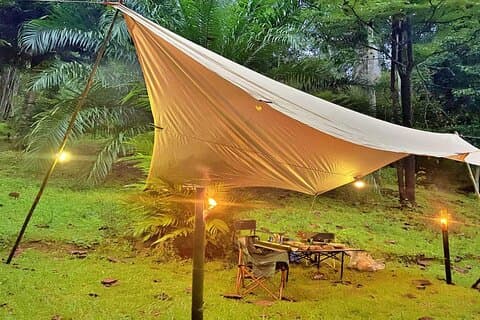 Upplev Khao Sok Jungle Escape Halv dag Halv natt