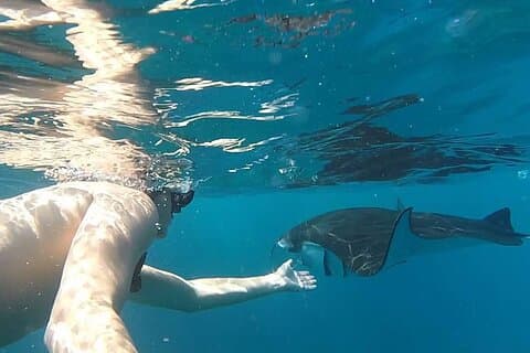 Schnorchelabenteuer zum Lebensraum Mantaroche in Nusa Penida