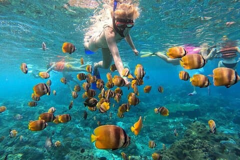 Explore 4 iconic snorkeling spots of Manta Bay in Nusa Penida