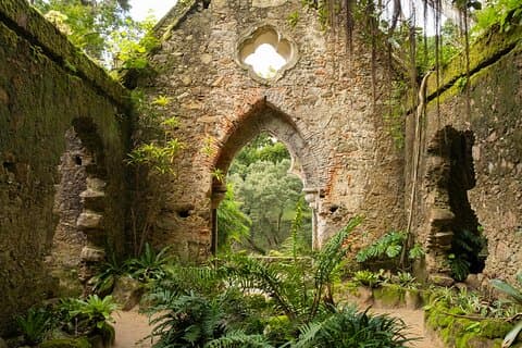 The Other Side of Sintra - Forgotten Woods
