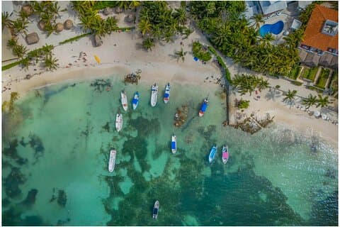 Tour di Rovine di Tulum, Tartarughe ad Akumal e Cenote