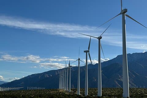 Palm Springs Windmill Guided Tour by Golf Cart