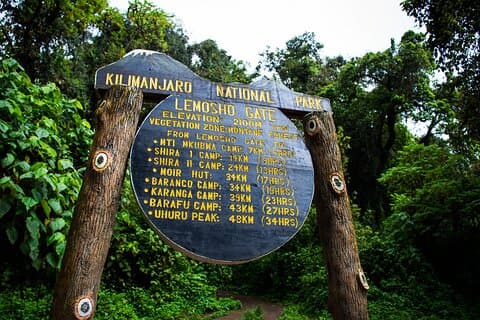 8 Days Mount Kilimanjaro Lemosho Route