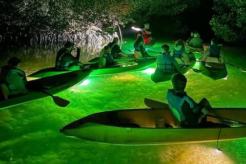 Anmeldelser af Sharkeys Glass Bottom Fish Feeding LED Night Tour