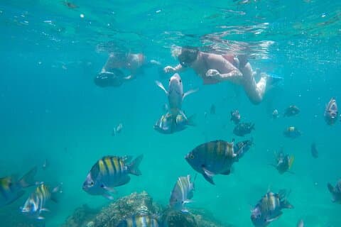 Onderwaterwonderen snorkelavontuur