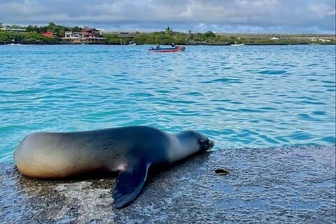 4-Day Santa Cruz Galapagos and Wildlife Adventure