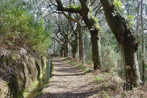 Madeira Levada Paradise Valley