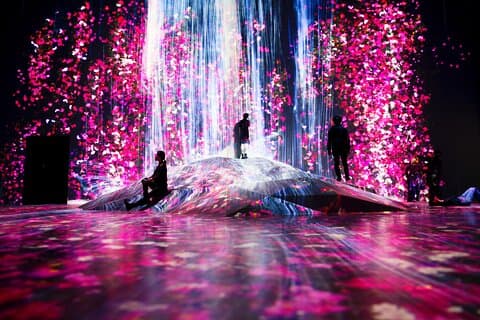 Teamlab Phénomènes Abu Dhabi