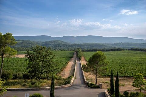 Provence vin tur - lille gruppe tur fra Nice