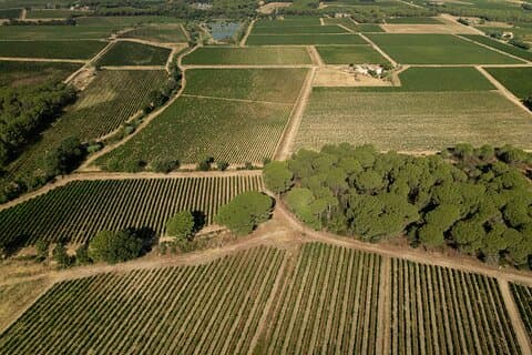 Provence Wine Tour - Privat dagstur fra Nice