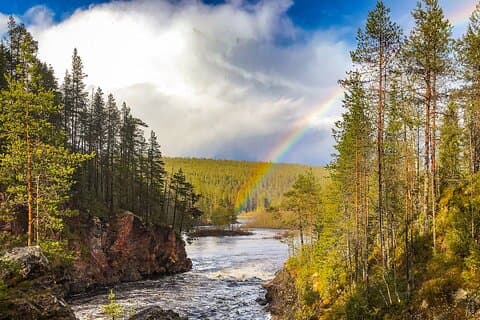 Wilderness Survival Tour - Summer & Autumn