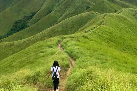 Bohol Private Tour: Anda, Candijay & Alicia Panoramic Park Hills