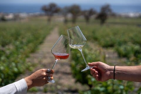 Selectie van Terroir Santorini-Sommelier