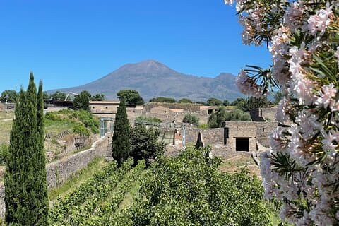 Tour privato di Pompei con trasporto e archeologo