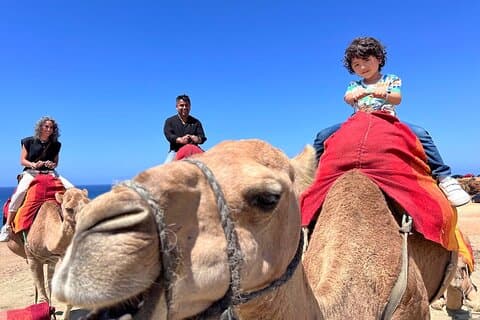Tanger All-In Tour fra færge eller krydstogt : Souks, Lunch & Camel