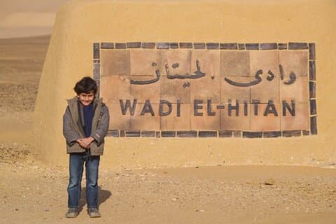 Private Tour To Fayoum Oasis and Wadi Al Rian From Cairo