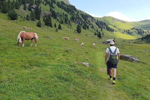 Visita guiada por los Dolomitas desde Canazei a Baita Ciadinat