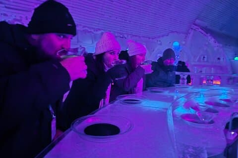 Excursión al museo de hielo y remojo de Chena Hot Springs