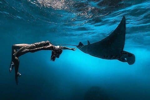 Bali Nusa Penida Snorkeling com Manta Rays e Island Tour