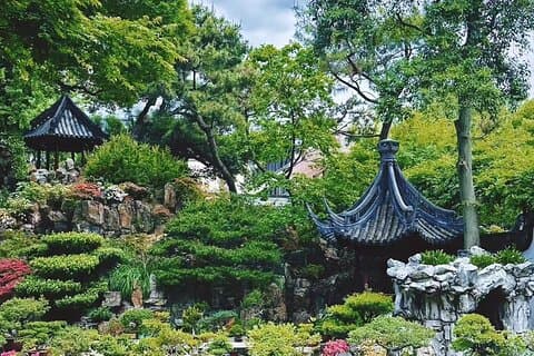 Tour di un giorno a Shanghai con trifoglio