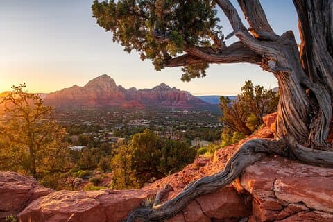 Grand Canyon e meraviglie di Sedona: tour privato di un giorno da Phoenix