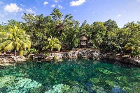 Cenotes Casa Tortuga: 5 Cenotes Day Pass
