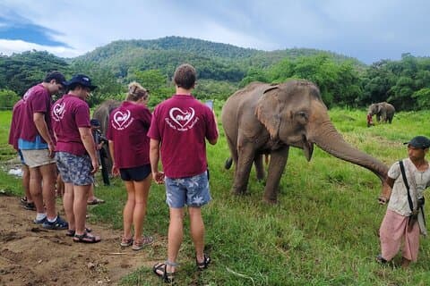 Chiangmai highlights: 2 days 1 night trip with Rooms & 3 meals:
