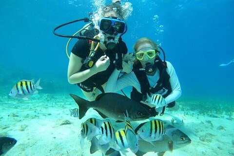 Chankanaab Park Plus Discovery Scuba Dive met lunch