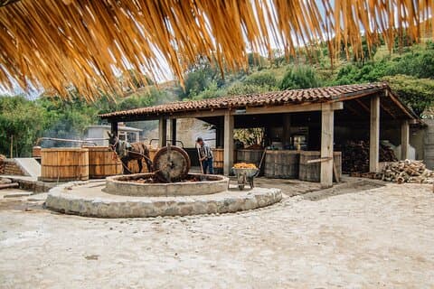 Tour del Mezcalero con il marchio più venduto a Oaxaca