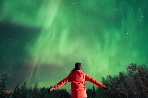 Rovaniemi Insider: tour garantito dell'aurora boreale