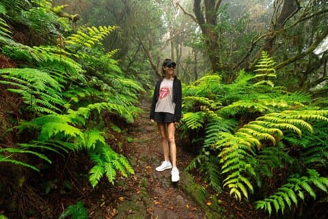 テネリフェ・ワンダーウォーク