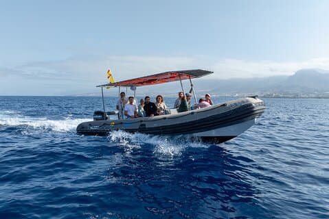 Private 2 hour Whale Watching Tour