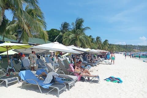 Roatan Monkey Sloth Adventure chocolate Rum & Beach Break