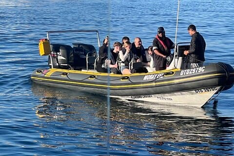 Experiencia privada de avistamiento de delfines en Ciudad del Cabo