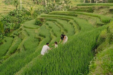 Private Customize Ubud Tagestour mit erfahrenem Fahrer