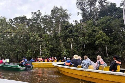 From Sandakan to Kinabatangan River Safari Boat Cruise Day Tour