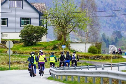 Olden : Excursão panorâmica de bicicleta elétrica com piquenique no lago e vistas para o fiorde