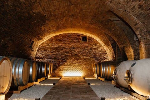 Winery tour and wine tasting in Agliano Terme