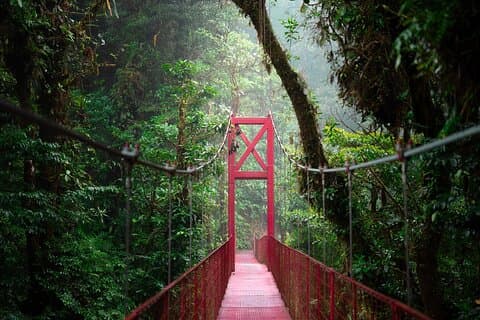 Excursão guiada pela floresta nublada de Monteverde
