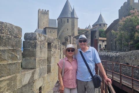 Carcassonne Wonders and Highlights Guided Private Tour