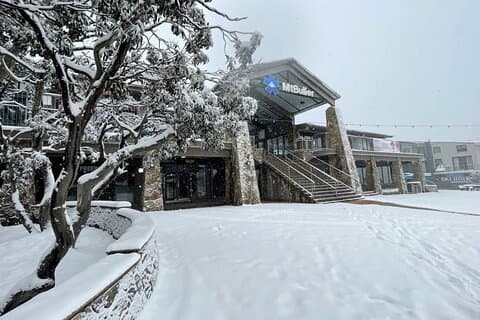 Mount Buller, Mount Hotham, Falls Creek Best Private Snow Tours