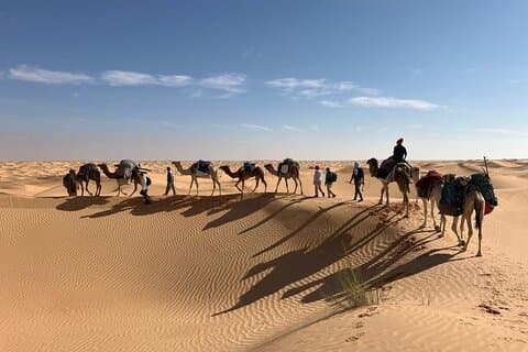 Overnatning Camel Trek og Camp Ophold i Sahara