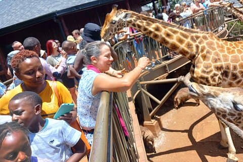 Visita à cidade de Nairobi - Safari-Free WI FI