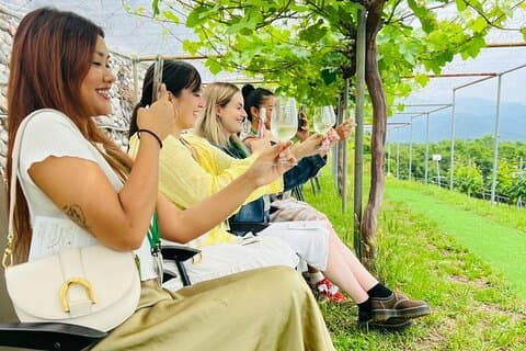Private Wine Tasting Tour in Yamanashi Prefecture by Car