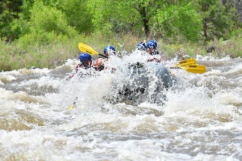 Bighorn Sheep Canyon Full Day Beginner Whitewater Rafting Tour