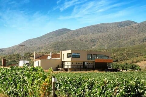 Customizable Private Wine Tour in Valle de Guadalupe