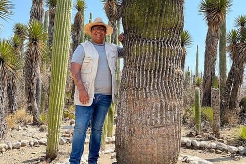 Tour privado pela Reserva da Biosfera Tehuacán-Zapotitlán