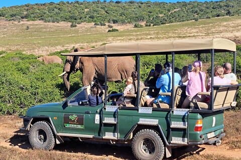 Schotia Safari Halvdagstur till Port Elizabeth